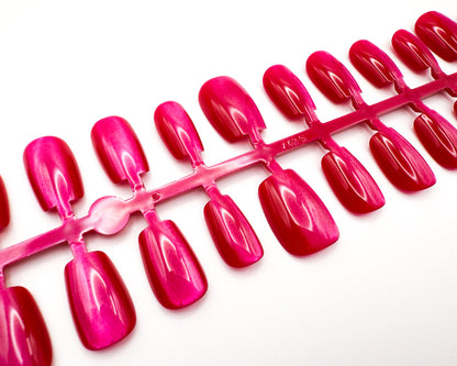 Radiant Bloom
